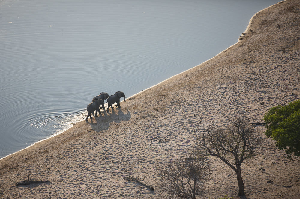 Nambwa Tented Lodge Kongola Zewnętrze zdjęcie