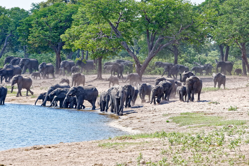 Nambwa Tented Lodge Kongola Zewnętrze zdjęcie