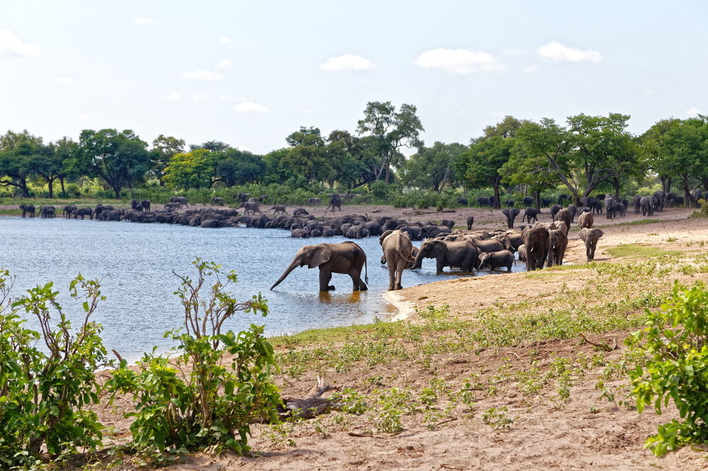 Nambwa Tented Lodge Kongola Zewnętrze zdjęcie